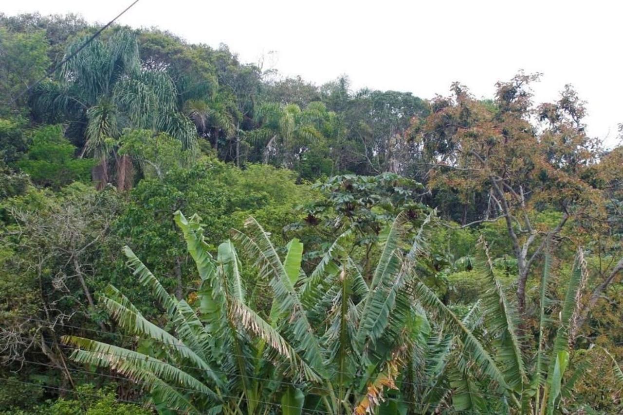 Condomínio Solar das Bromélias Bombinhas Extérieur photo